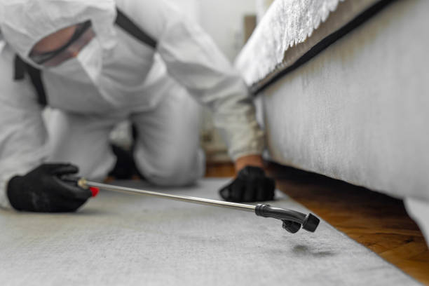 Professional Bed Bug Control technician working in Bonduel, WI
