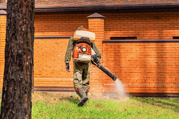 Trusted Cockroach Control service in Bonduel, WI - Nex Pest Control